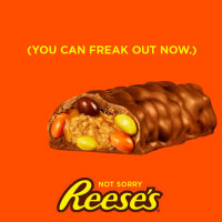 Reeses Outrageous! 41g