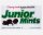 Junior Mints Pure Chocolate 99g