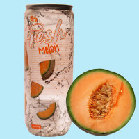 Fresh Drink Melon Sparkling 330ml